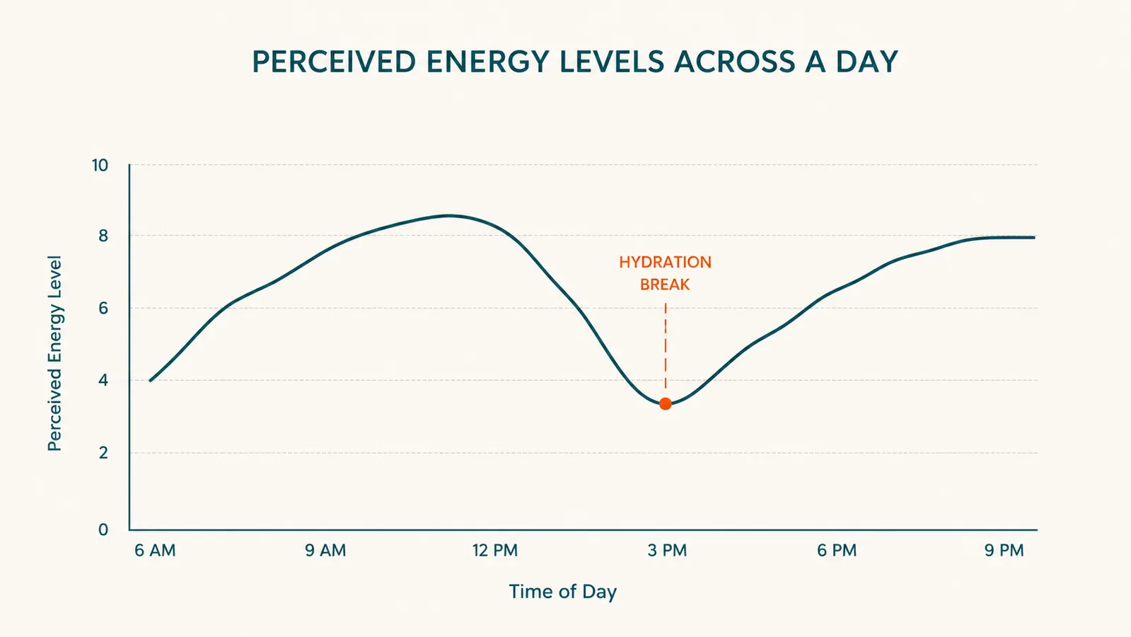Simple line chart showing a typical midafternoon energy dip and a marked afternoon hydration break