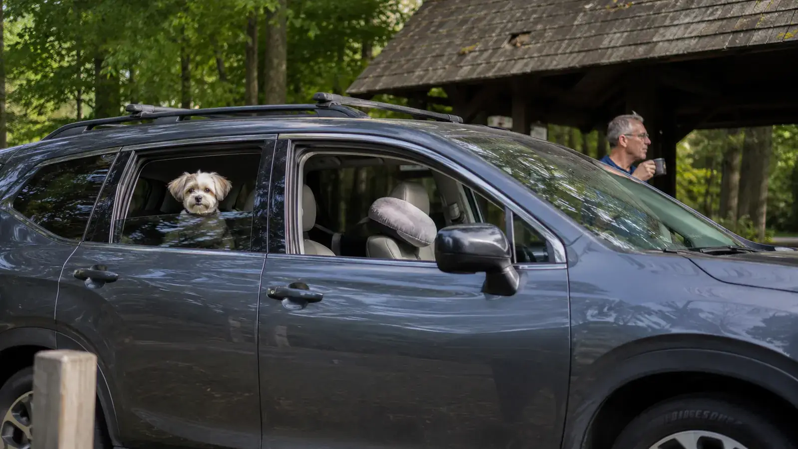 Car parked at a quiet rest stop with a dog looking out the back window while the front passenger seat is reclined